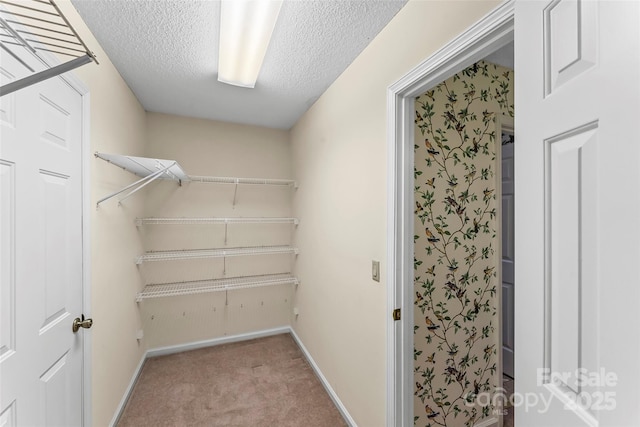 903 Independence Trl, Morganton, NC 28655 - walk in closet featuring carpet