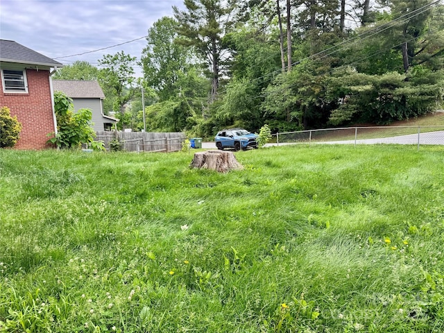 8 Mountain Ter, Asheville, NC 28806 - view of yard