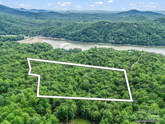 176 High Road Ct, Lake Lure, NC 28746