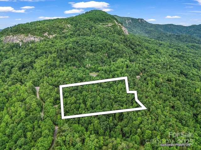 176 High Road Ct, Lake Lure, NC 28746
