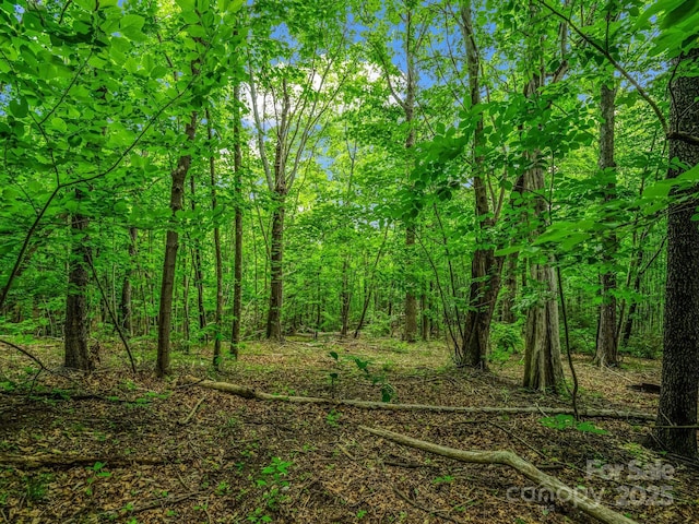 176 High Road Ct, Lake Lure, NC 28746