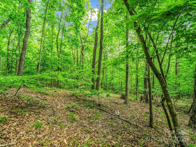 176 High Road Ct, Lake Lure, NC 28746