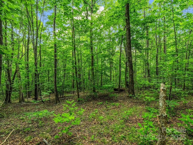 176 High Road Ct, Lake Lure, NC 28746