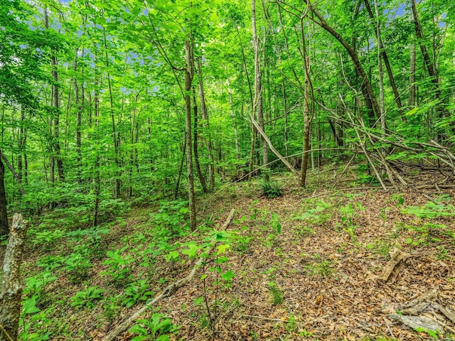 176 High Road Ct, Lake Lure, NC 28746