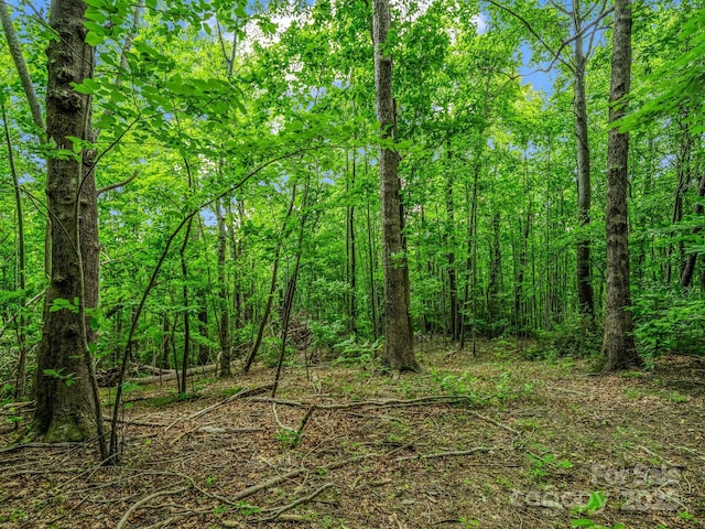 176 High Road Ct, Lake Lure, NC 28746
