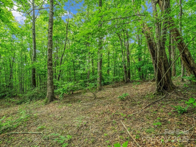 176 High Road Ct, Lake Lure, NC 28746