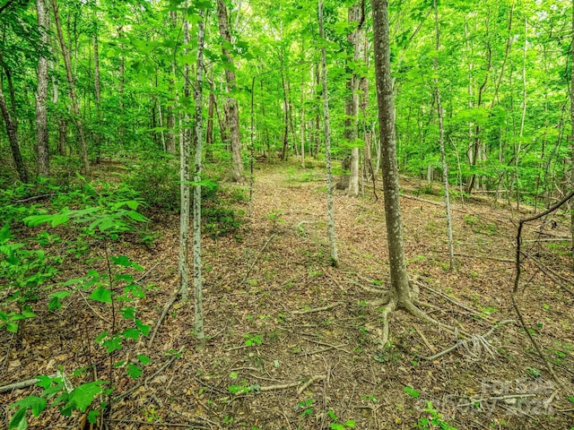 176 High Road Ct, Lake Lure, NC 28746