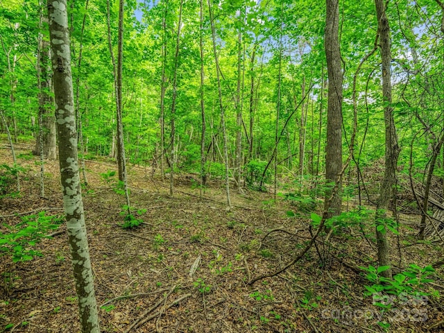 176 High Road Ct, Lake Lure, NC 28746