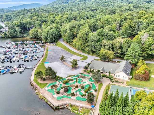 176 High Road Ct, Lake Lure, NC 28746