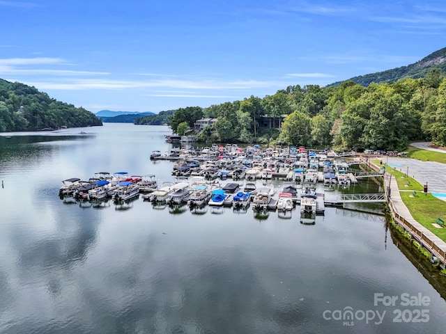 176 High Road Ct, Lake Lure, NC 28746