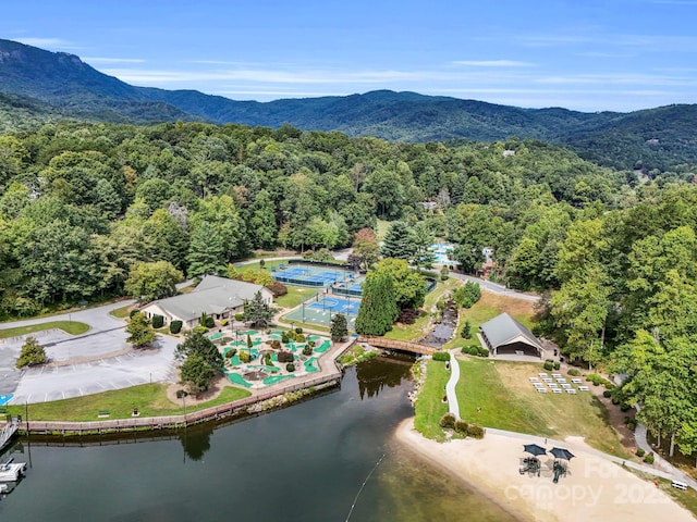 176 High Road Ct, Lake Lure, NC 28746