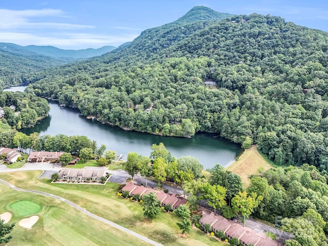 176 High Road Ct, Lake Lure, NC 28746