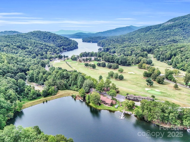 176 High Road Ct, Lake Lure, NC 28746