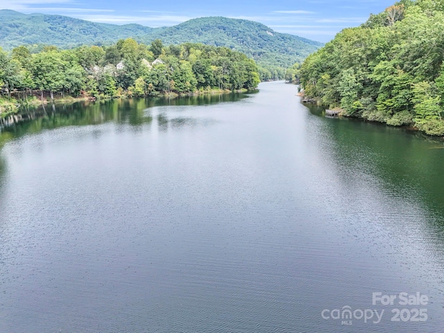 176 High Road Ct, Lake Lure, NC 28746