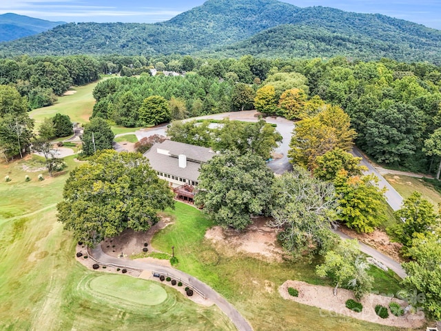 176 High Road Ct, Lake Lure, NC 28746