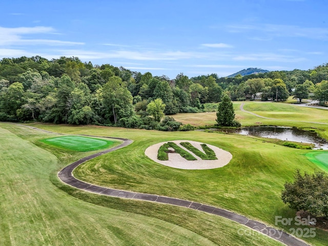 176 High Road Ct, Lake Lure, NC 28746