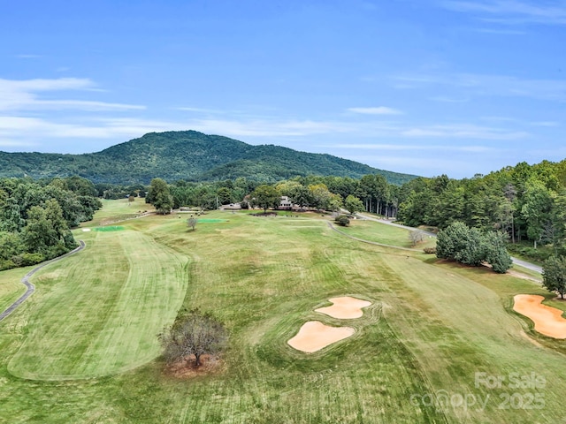 176 High Road Ct, Lake Lure, NC 28746