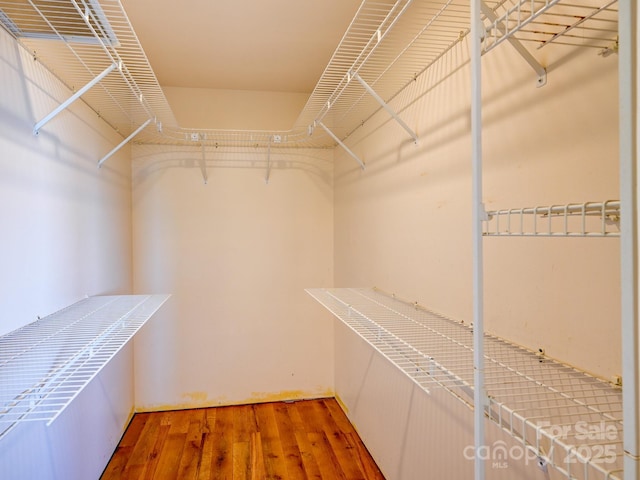 58 Randall Dr, Fairview, NC 28730 - walk in closet featuring wood finished floors