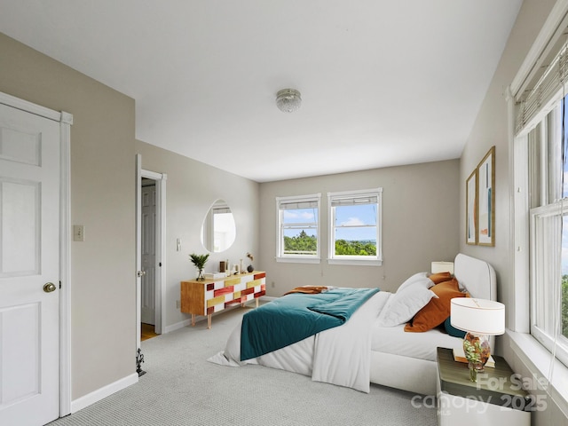 58 Randall Dr, Fairview, NC 28730 - bedroom with carpet, multiple windows, and baseboards