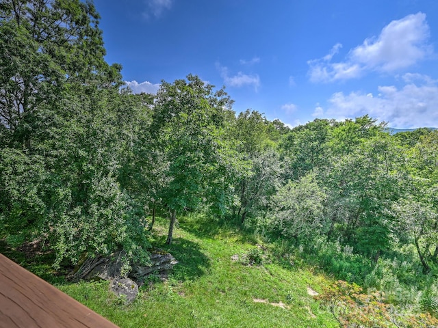 58 Randall Dr, Fairview, NC 28730 - view of woods