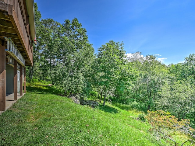 58 Randall Dr, Fairview, NC 28730 - view of yard