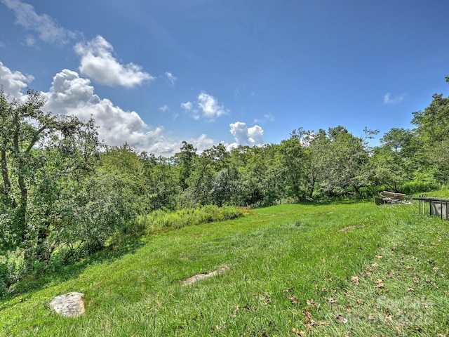 58 Randall Dr, Fairview, NC 28730 - view of yard featuring a forest view
