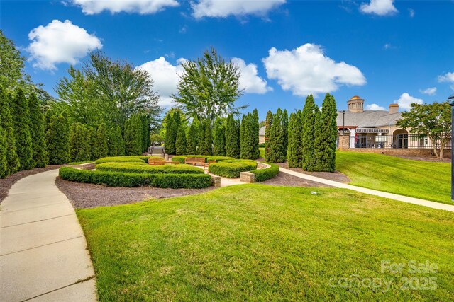 539 Turquoise Way, Fort Mill, SC 29708 - view of community