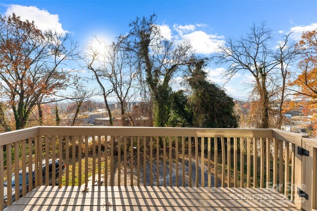 71 Buchanan Ave, Asheville, NC 28801 - photo 21