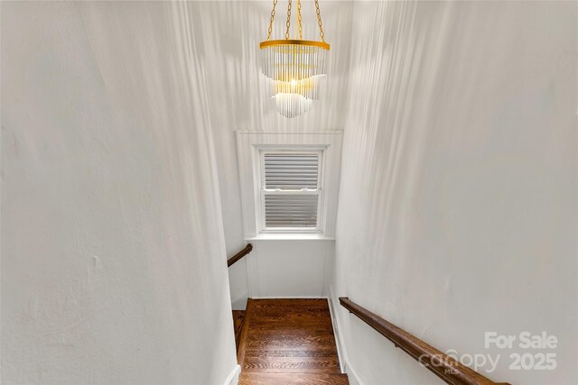 71 Buchanan Ave, Asheville, NC 28801 - photo 37