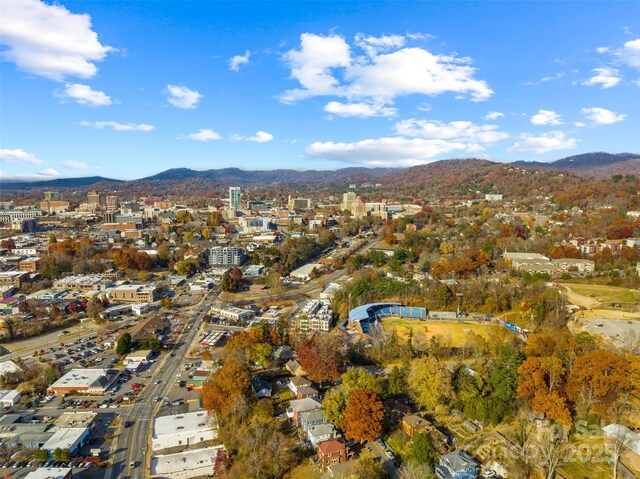71 Buchanan Ave, Asheville, NC 28801 - photo 41