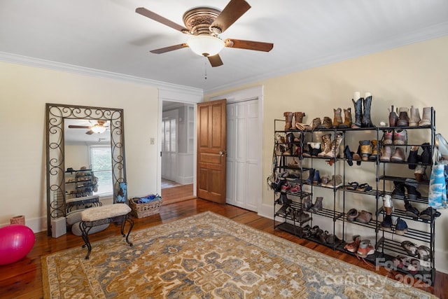 420 S Cedar St, Lincolnton, NC 28092 - office area with ceiling fan, hardwood / wood-style flooring, and ornamental molding