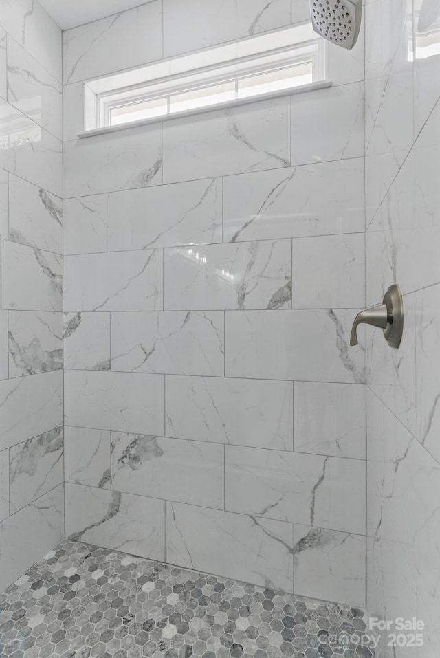 192 Plato Pl, Etowah, NC 28729 - full bath with tiled shower