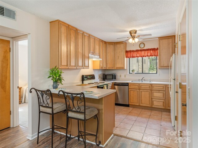 55 Lake Dr Unit 4P, Laurel Park, NC 28739 - kitchen with appliances with stainless steel finishes, under cabinet range hood, a peninsula, a sink, and ceiling fan