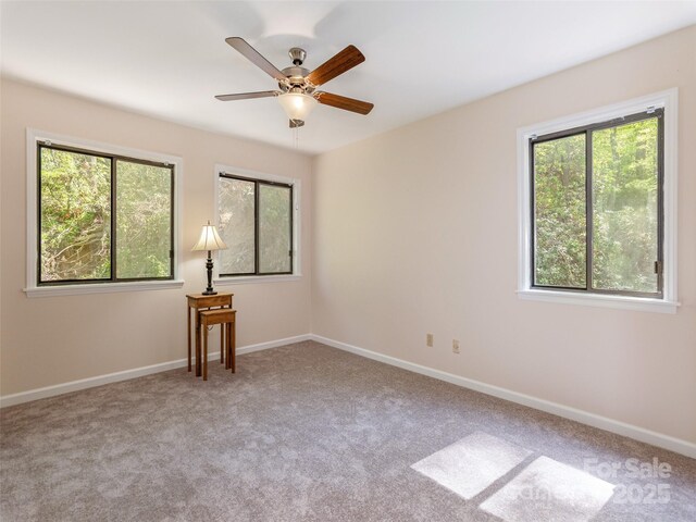 55 Lake Dr Unit 4P, Laurel Park, NC 28739 - carpeted empty room featuring a ceiling fan and baseboards