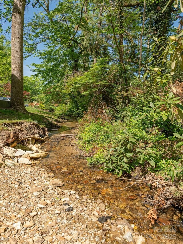 55 Lake Dr Unit 4P, Laurel Park, NC 28739 - view of undeveloped land