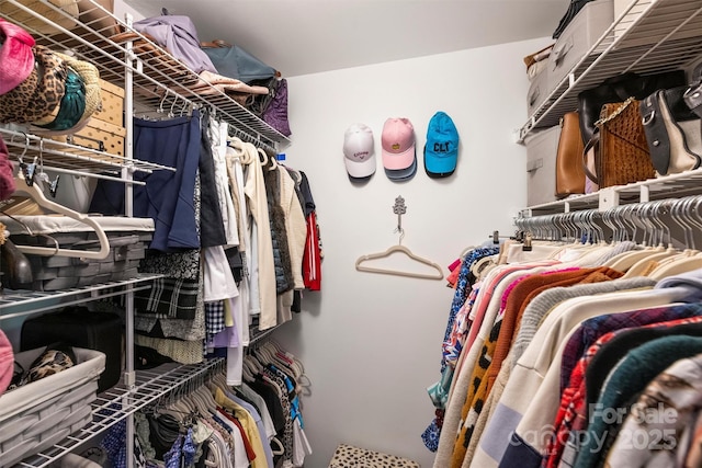 2533 Stockbridge Dr, Charlotte, NC 28210 - view of spacious closet