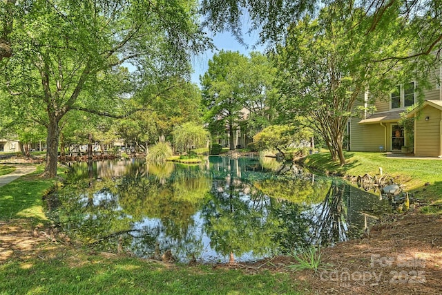 2533 Stockbridge Dr, Charlotte, NC 28210 - water view