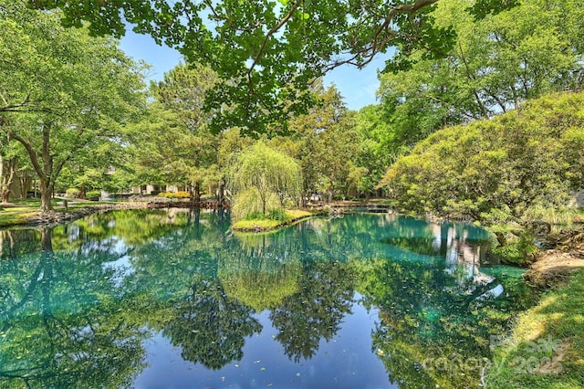 2533 Stockbridge Dr, Charlotte, NC 28210 - water view featuring a heavily wooded area