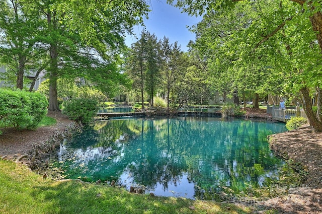 2533 Stockbridge Dr, Charlotte, NC 28210 - water view