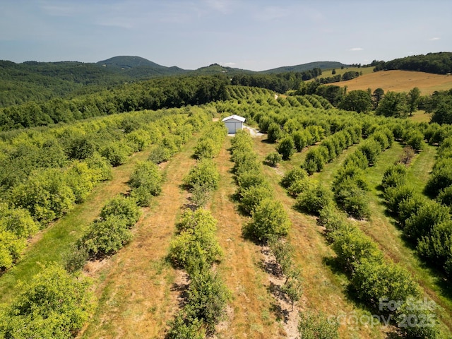 SR1713 Summer Rd, Hendersonville, NC 28792