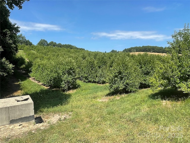 SR1713 Summer Rd, Hendersonville, NC 28792