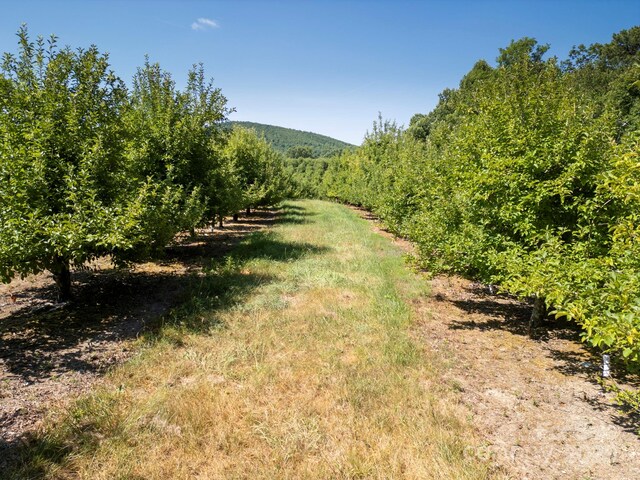 SR1713 Summer Rd, Hendersonville, NC 28792