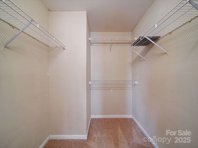 1023 Triece Ln, Charlotte, NC 28215 - spacious closet featuring carpet