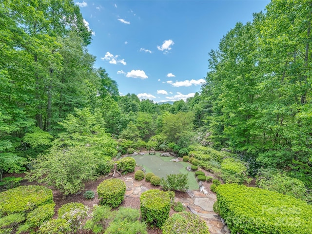 296 Cedar Rock Trl, Hendersonville, NC 28739 - photo 24