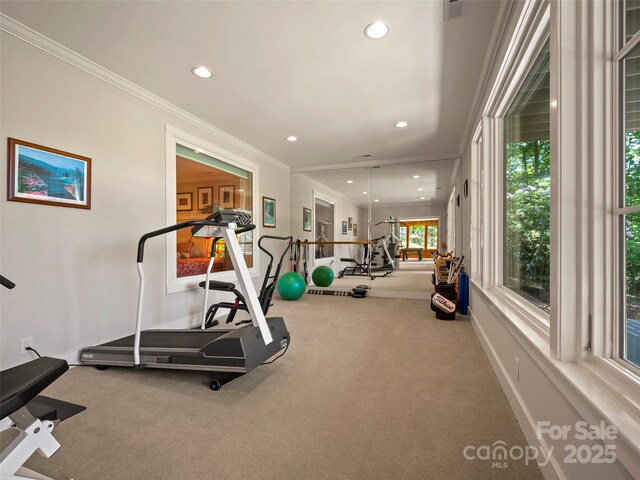 296 Cedar Rock Trl, Hendersonville, NC 28739 - photo 36