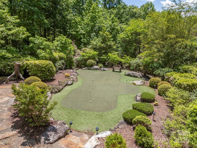 296 Cedar Rock Trl, Hendersonville, NC 28739 - photo 44
