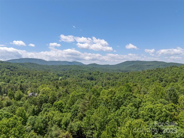 296 Cedar Rock Trl, Hendersonville, NC 28739 - photo 47