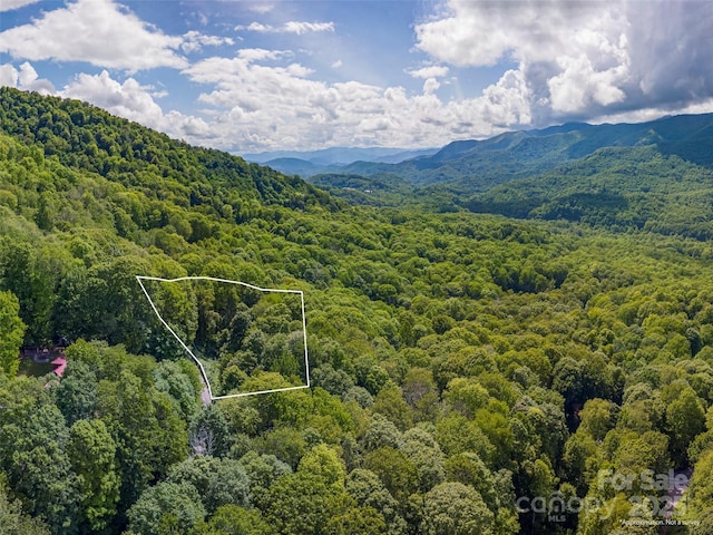 99999 Sara Ridge Rd Unit 32C, Waynesville, NC 28786