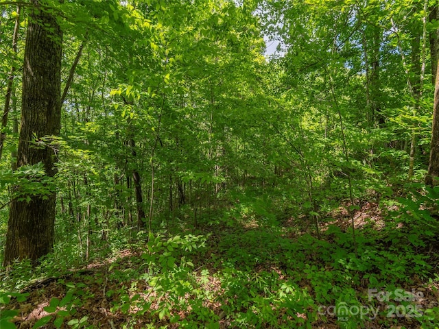 99999 Sara Ridge Rd Unit 32C, Waynesville, NC 28786