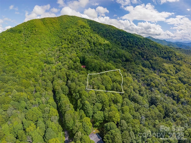 99999 Sara Ridge Rd Unit 32C, Waynesville, NC 28786